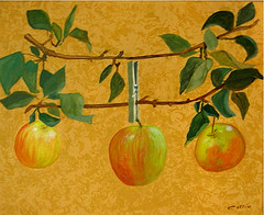 Etude de branches de pommier, Djamila