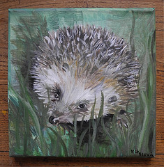 "H�risson curieux" Marie-Christine Blouin