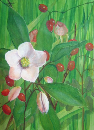 exercice 1, Fran�oise, 2006