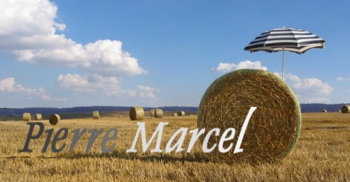  J'ai d�couvert et pratiqu� la peinture acrylique aux Etats-Unis, � Miami Beach, ou pendant quinze ans j�ai men� tout d'abord une carri�re de peintre d�corateur. Me voici de retour en Normandie, en Pays de Vexin Fran�ais et Normand pr�s de Gisors, pour travailler � ma peinture. 