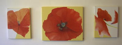 les peintures de coquelicots, telles que dispos�es sur les murs par Christelle et David. 