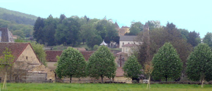 En arri�re plan, l'�glise et le ch�teau de Saint Point.